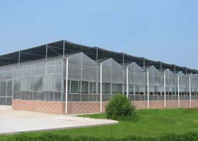 恩宝智能温室及资材及配套产品