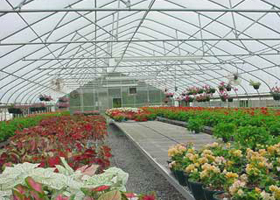 恩宝花卉型生产温室