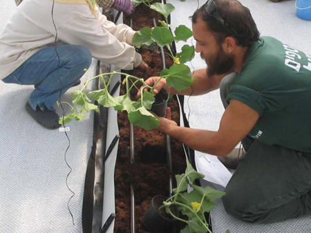 ������ҵ���������༼������ʩ