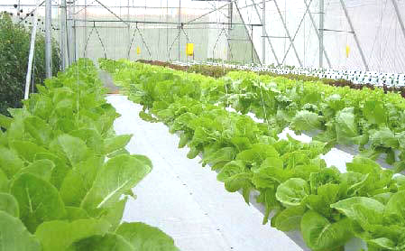 ������ҵ���������༼������ʩ