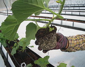 ������ҵ���������༼������ʩ