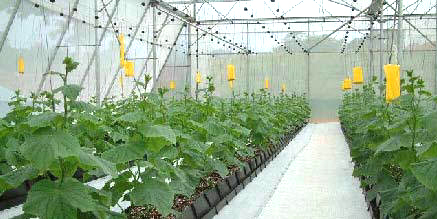 ������ҵ���������༼������ʩ